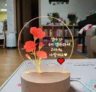 카네이션 무드등