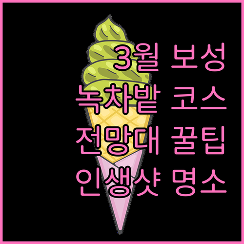 보성 녹차밭 대한다원 3월 풍경과 전..