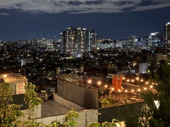 LH 임대주택 신청법 (입주자격, 청약플러스, 전세사기)