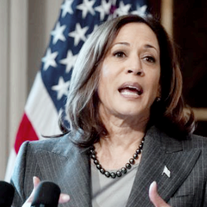 해리스 관련주 대장주 테마주 수혜주 top5 : 신재생에너지