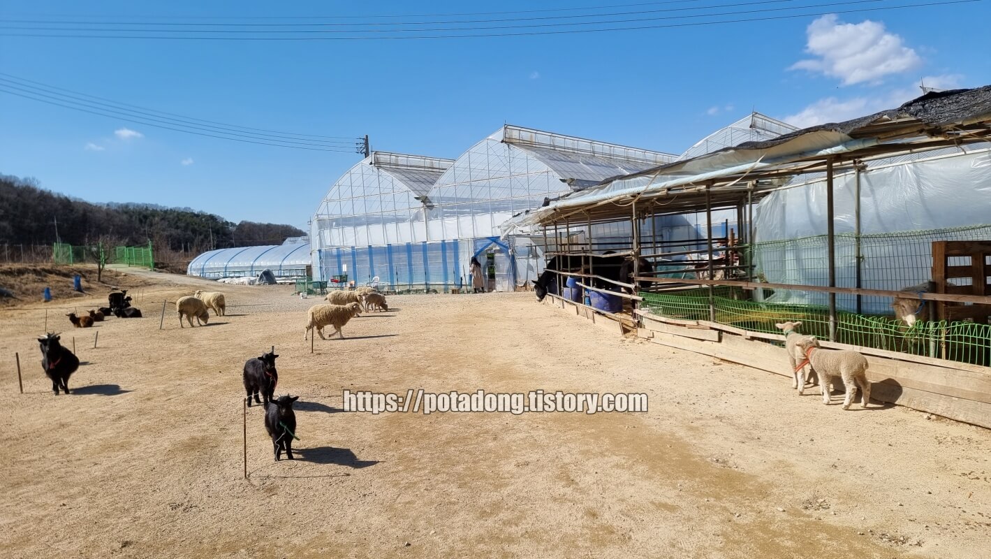행복텃밭 동물농장