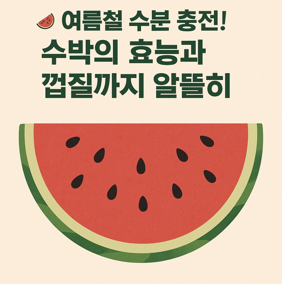여름 과일 수박 이미지