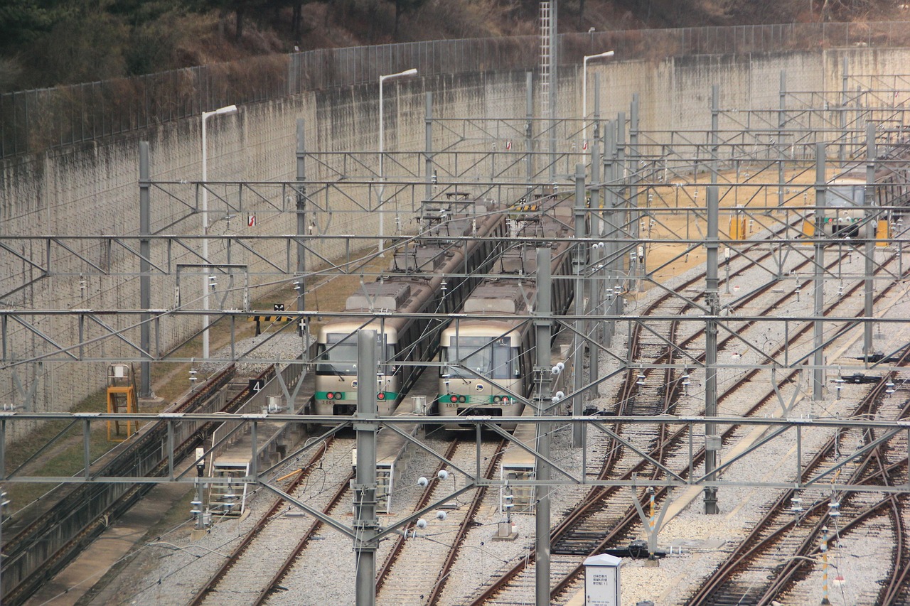 기후동행카드 신청방법 사용구간 구매방법 충전 따릉이 이용법 완벽정리