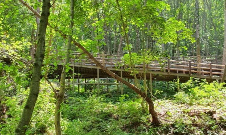 거창 항노화힐링랜드