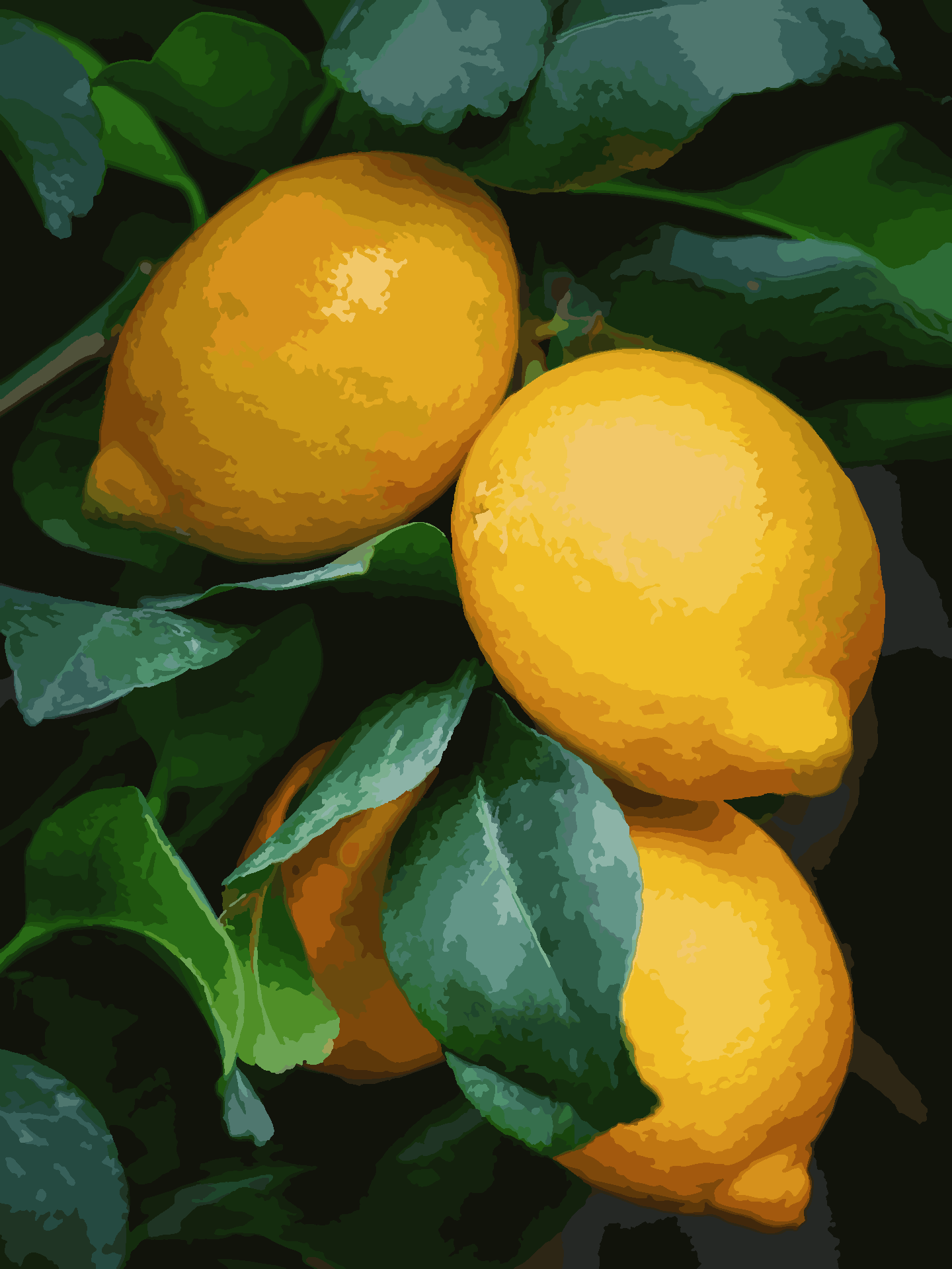 Simplified Image (Color-Reduced Version) Vibrant Lemon Tree PBN