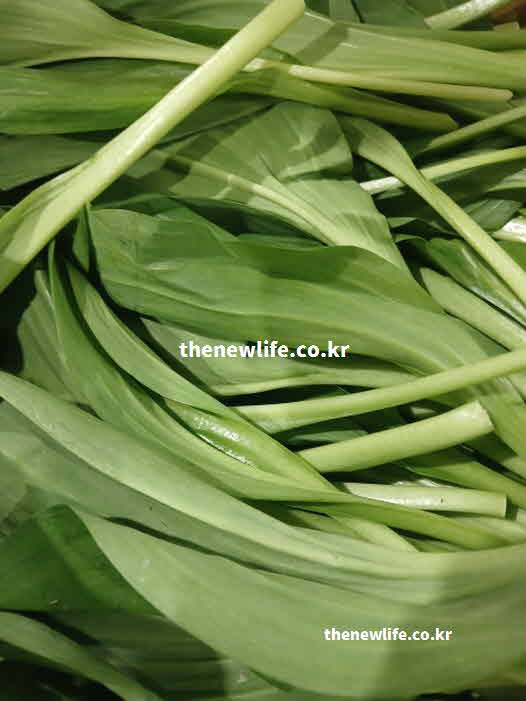 명이나물 효능 소화 촉진 식이섬유