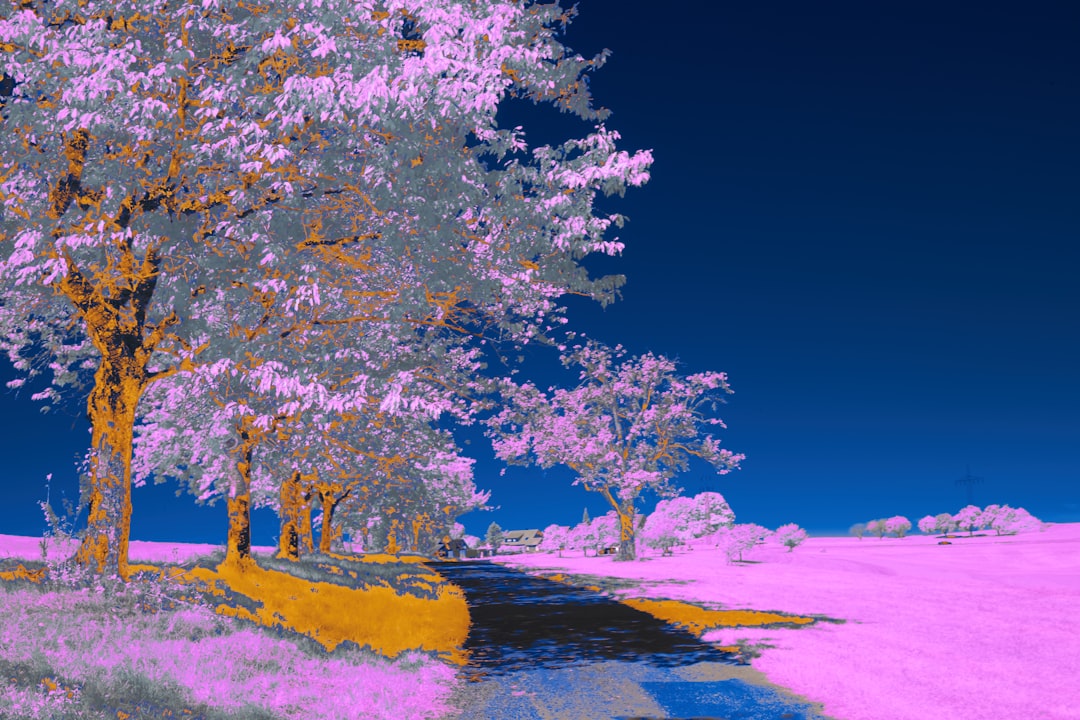 Dream Interpretation