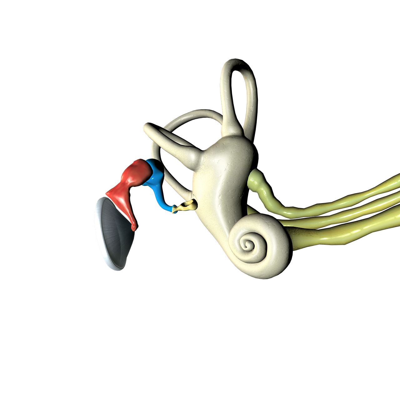 직장인 이명증 관리 관련 사진