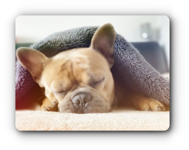 sleep-image