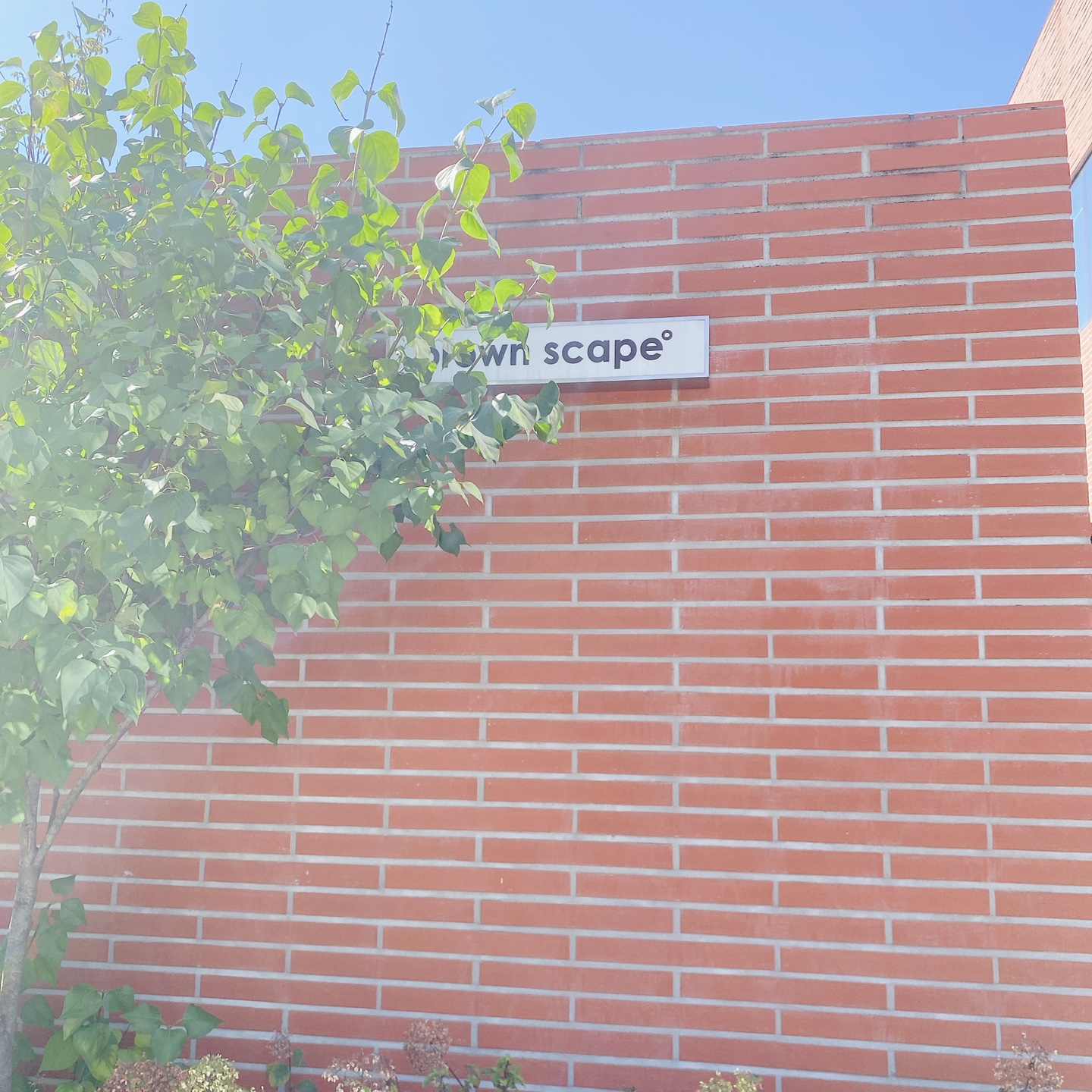 화성 동탄 동학산 대형카페 브라운스케이프(Brown Scape)카페 주차 리뷰 추천 시그니처메뉴