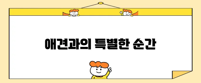 강원도 여행 애견과 함께하는 춘천의 헤이 춘천 펫룸에서 특별한 경험을 즐겨보세요.