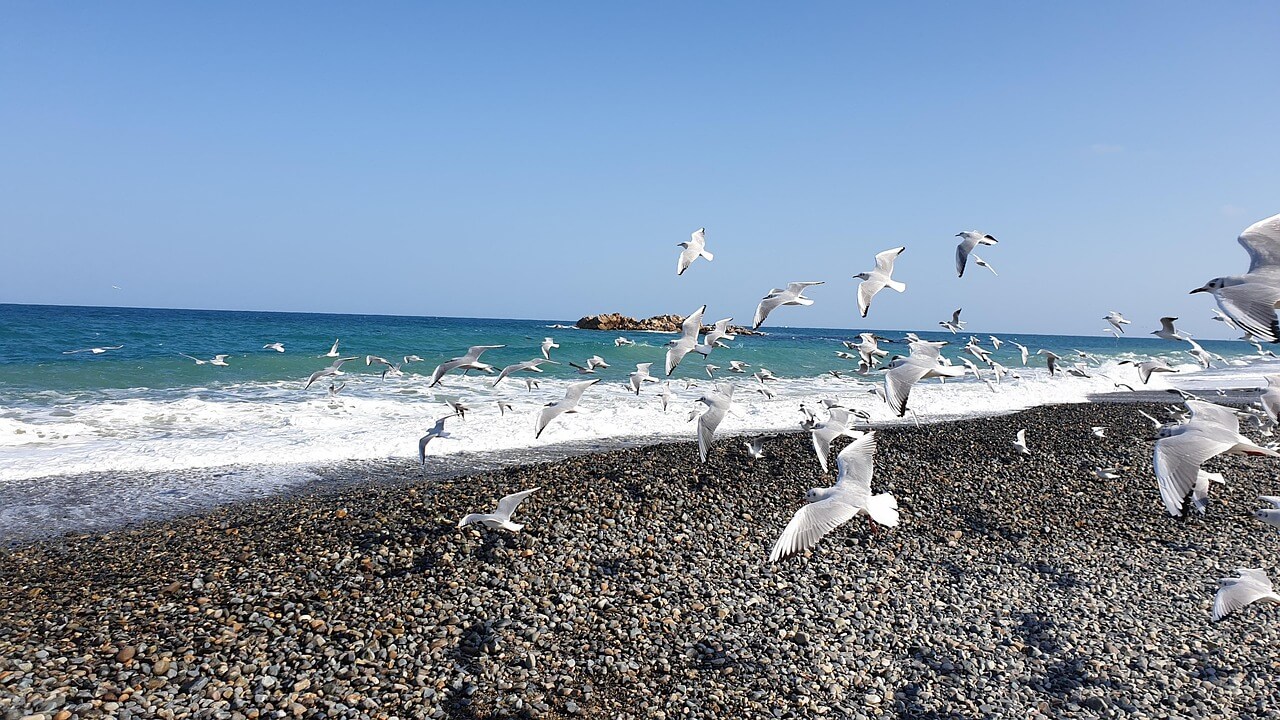 2025년 제주도 여행 지원 사업 - 『제주기점 뱃길관광 활성화』 뱃길이용 단체관광객 지원 신청 방법 및 신청 서류 안내