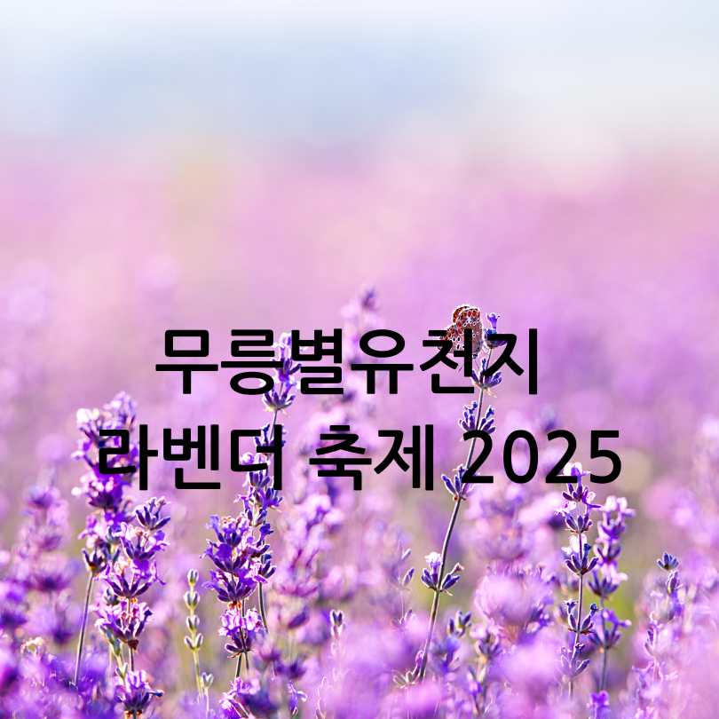 무릉별유천지 라벤더 축제 2025