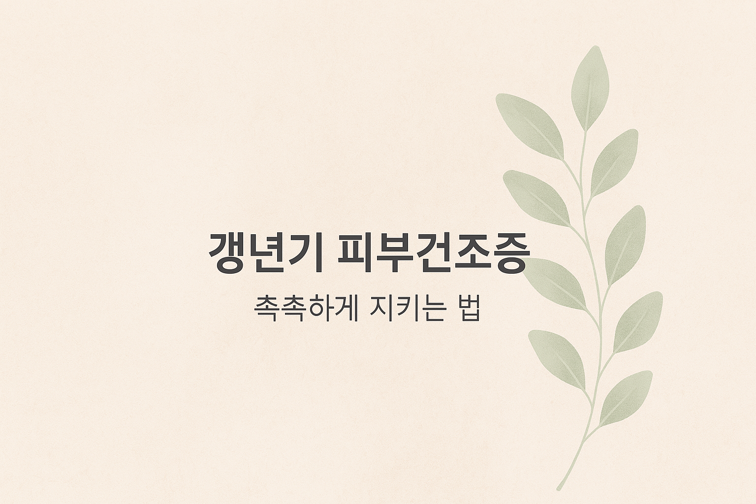 갱년기 피부건조증 관련 이미지