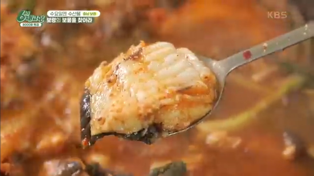 6시 내고향 충남 보령 쭈꾸미