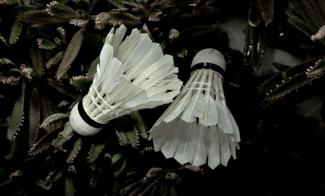 Badminton