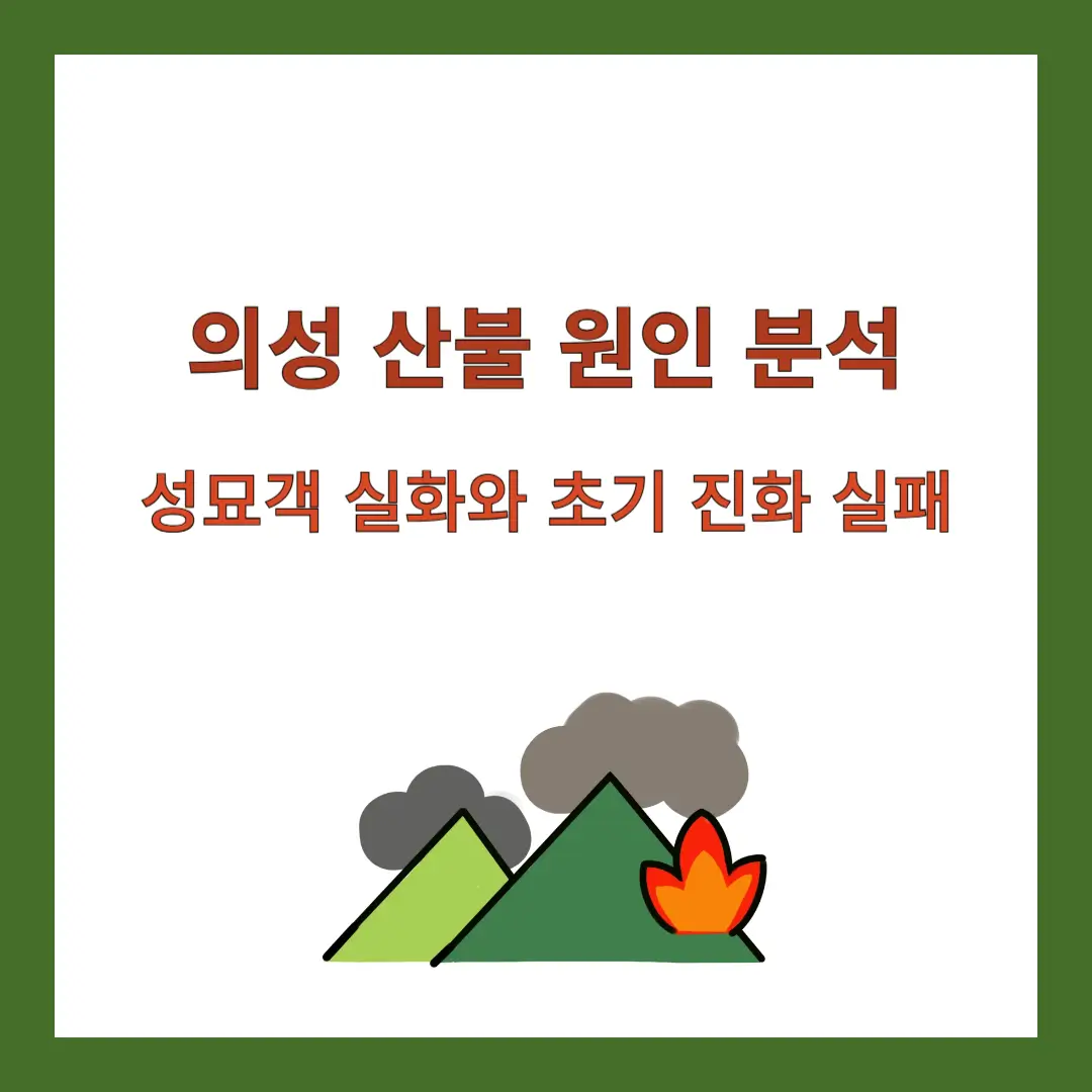 의성-산불-원인