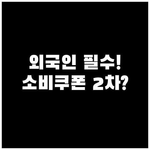 외국인 대상 민생회복 소비쿠폰 2차 ..