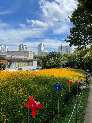 상황에 따라 듣는 음악과 팟캐스트를 다르게 선택하기