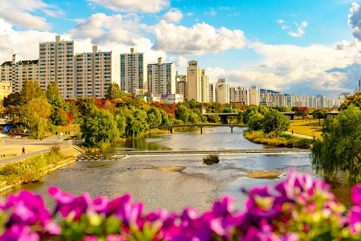 반려견과 함께 떠나는 분당·판교 가을산책 단풍명소 추천 : 탄천산책로·율동공원·판교생태공원