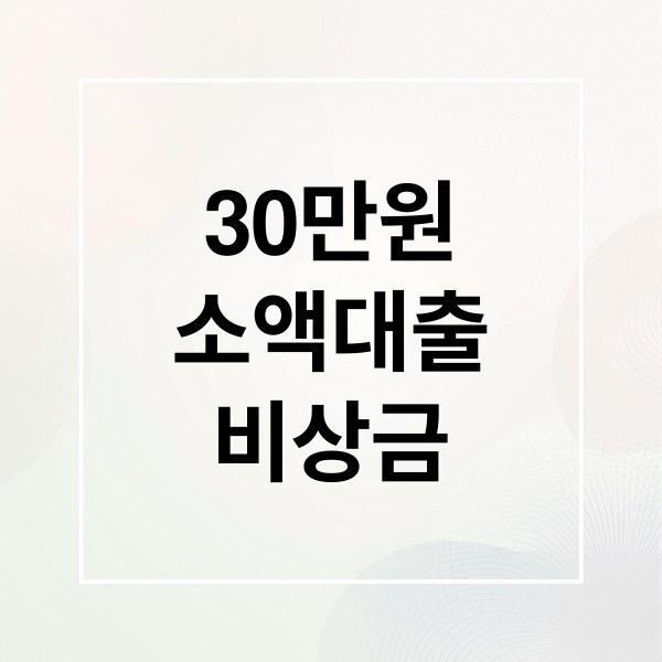 30만원 소액대출: 무직자, 주부도 가능한 쉽고 빠른 비상금 마련법