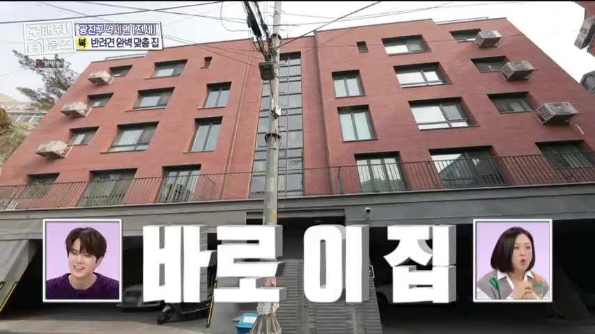 구해줘홈즈 댕댕하우스 동물병원 인접 서울시 광진구 중곡동 전세 매매 매물 가격 및 구조 인테리어 리모델링 최종선택 더보이즈 영훈 현재 소개