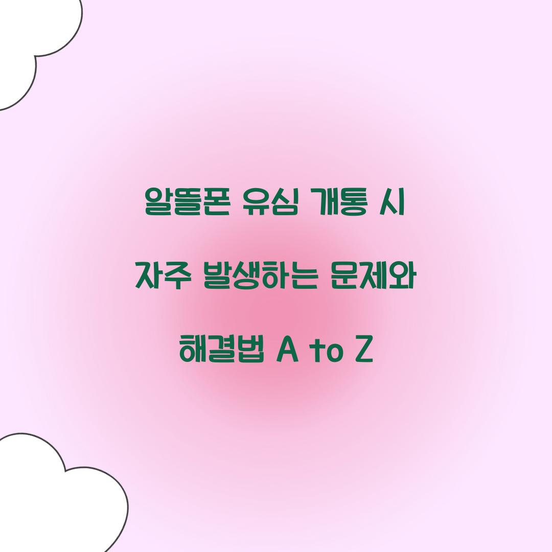 알뜰폰 유심 개통 시 자주 발생하는 문제와 해결법