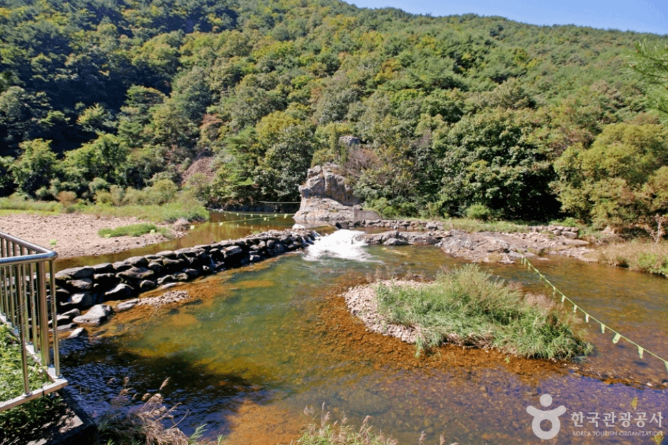 보은군 서원계곡