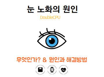 눈 노화 원인
