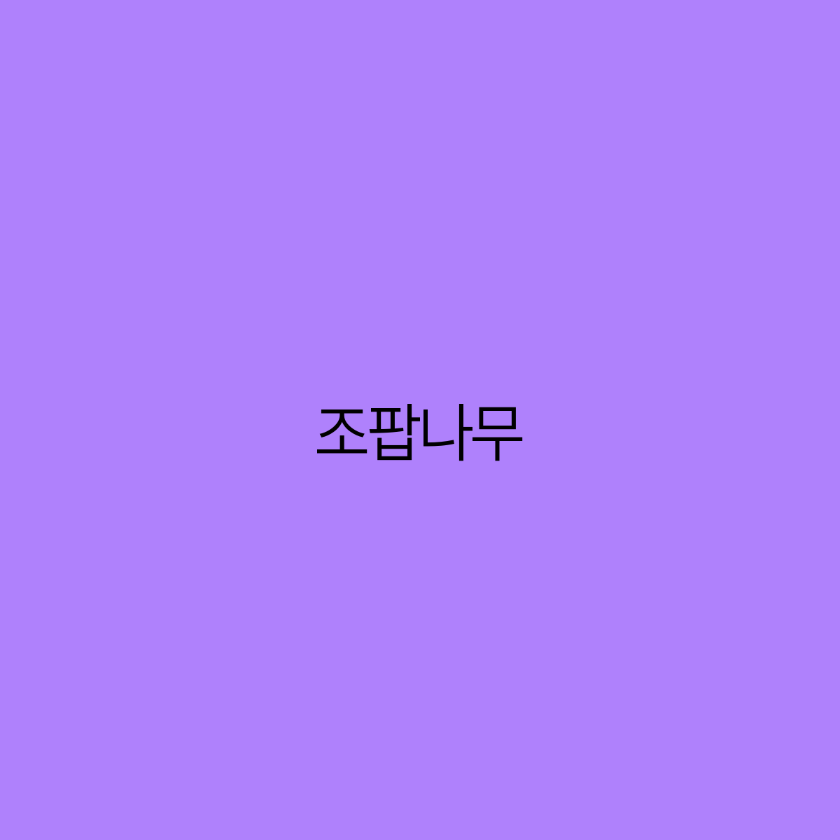 조팝나무 아름다움과 효능을 가진 나무의 모든 것
