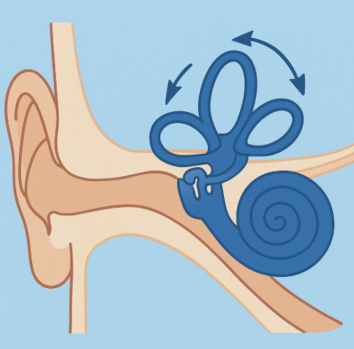 양성 발작성 현기증