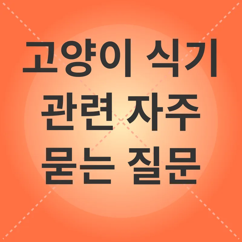 고양이 식기_4
