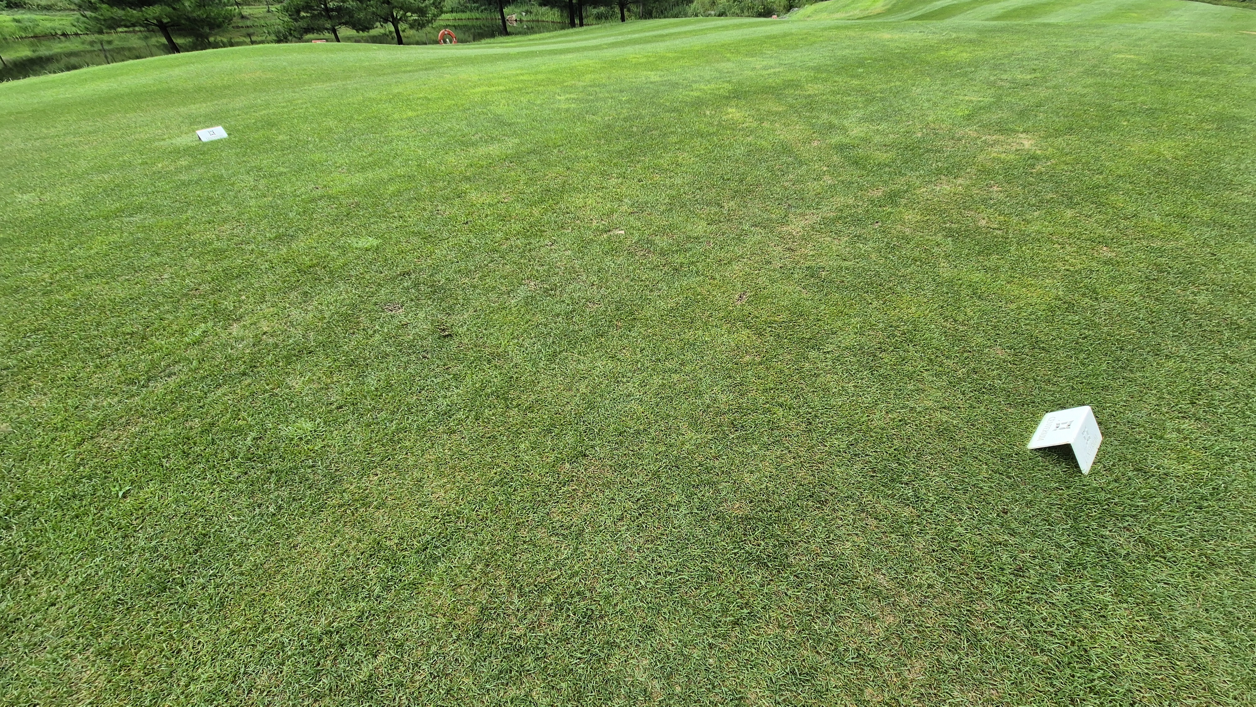 센테리움cc 스코틀랜드-웨일즈 코스 라운드 후기