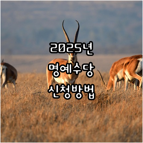 2025 울산 남구 명예수당 완벽 정..