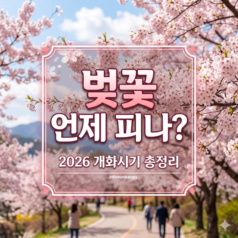 벚꽃 개화시기 축제 만개