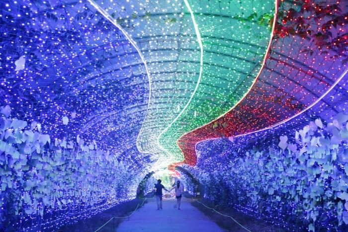 태안 봄꽃정원 &amp; 태안빛축제｜하루가 두 번 예쁜 곳