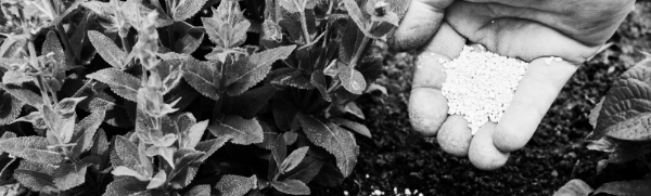 화분 비료 필수 지식 ① 필요 양분