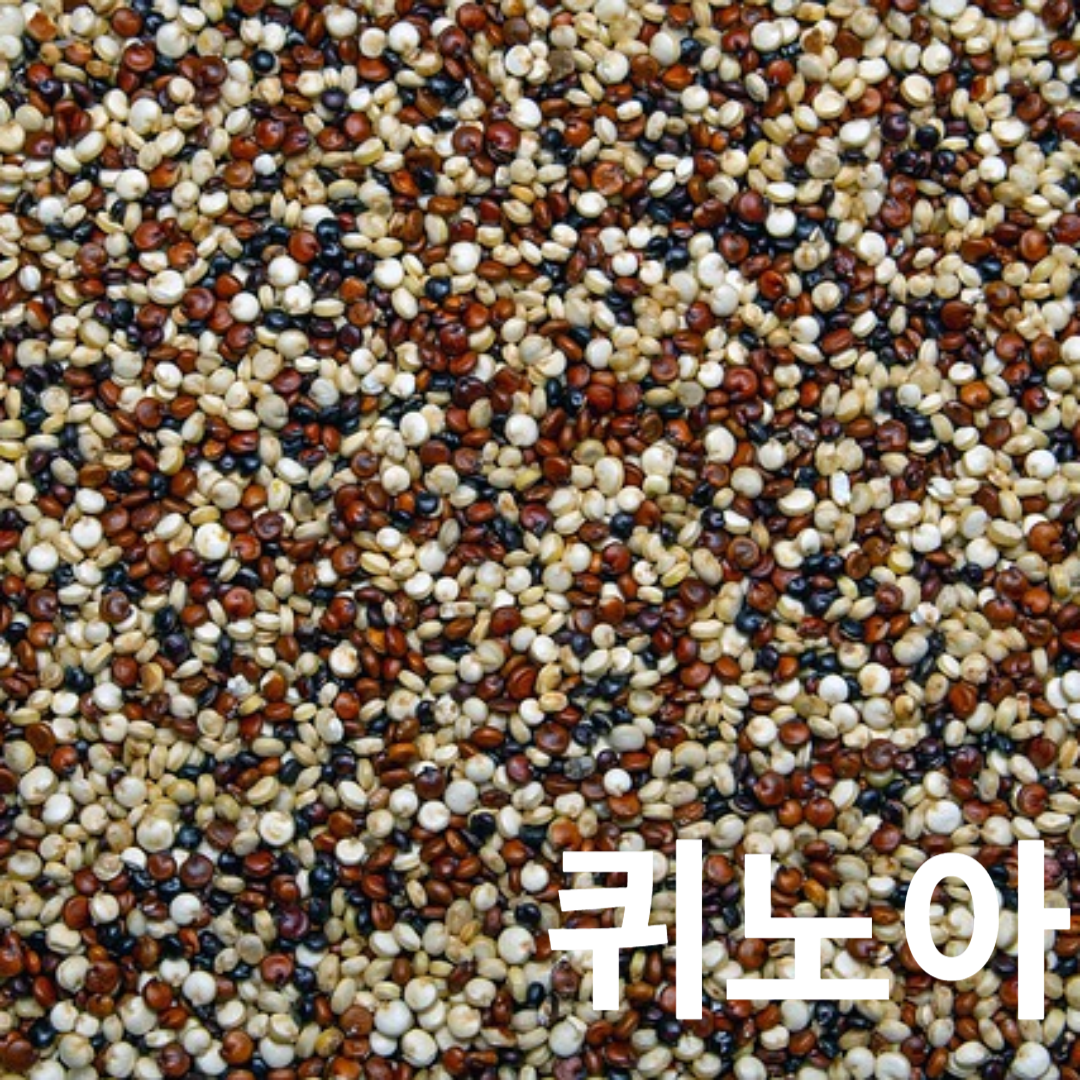 퀴노아