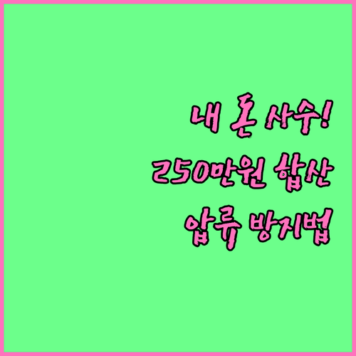은행 잔액 압류 방지 250만원 합산..