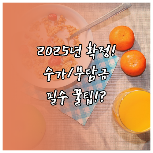 2025년 방문요양 수가표와 본인부담..
