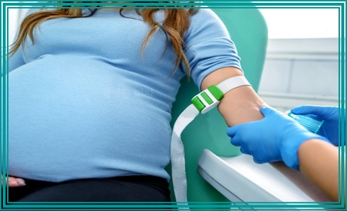 태아 성별알수있는시기