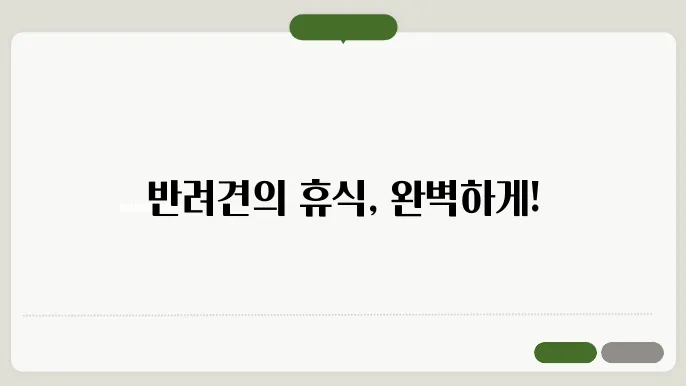 강아지 방석 당신의 반려의 위한 완벽한 개 쿠션 선택 집고씽게