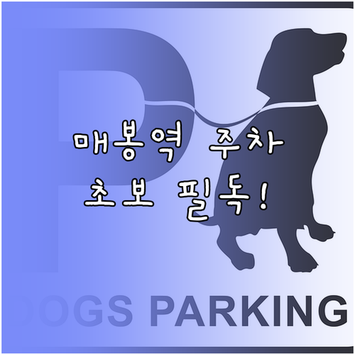 매봉역 인근 주차장 현황과 도곡동 카..