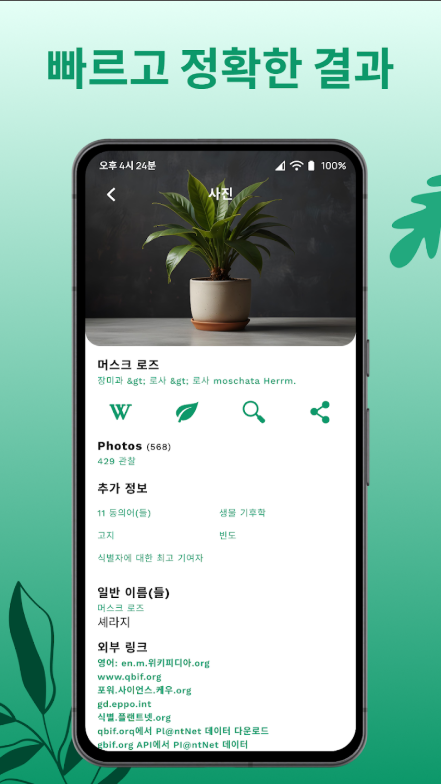 꽃이름 찾기 앱, 사진 이미지로 꽃 찾기