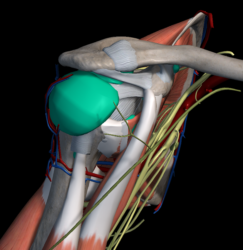어깨 충돌 증후군 원인 증상 치료법