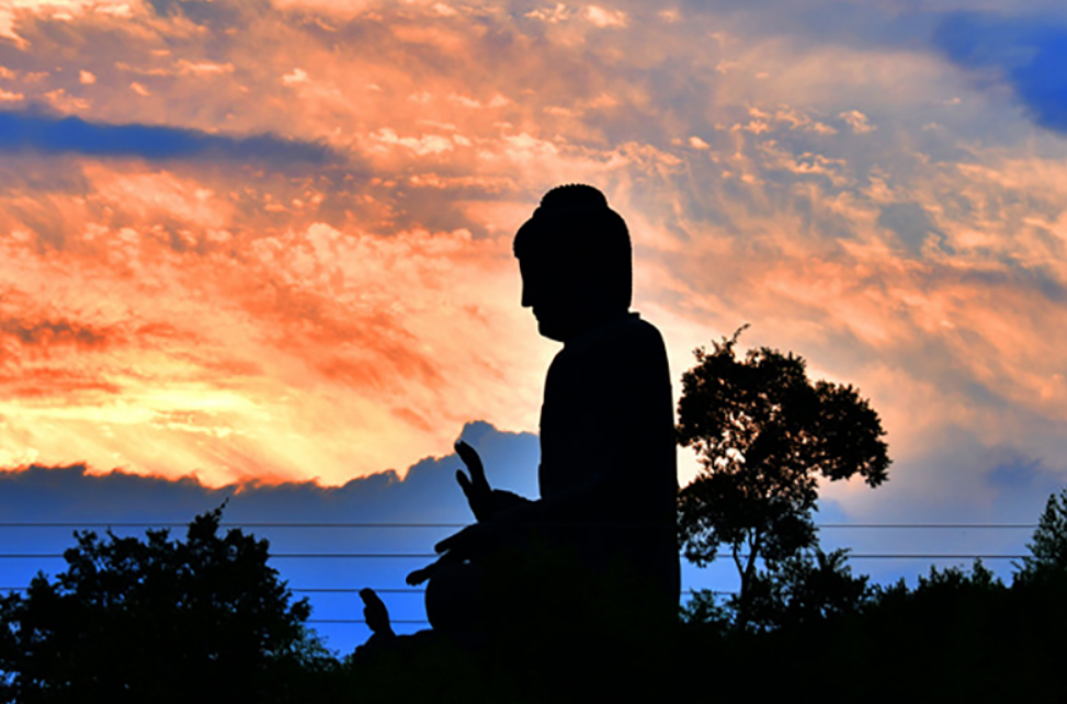 강진 남미륵사 가는길