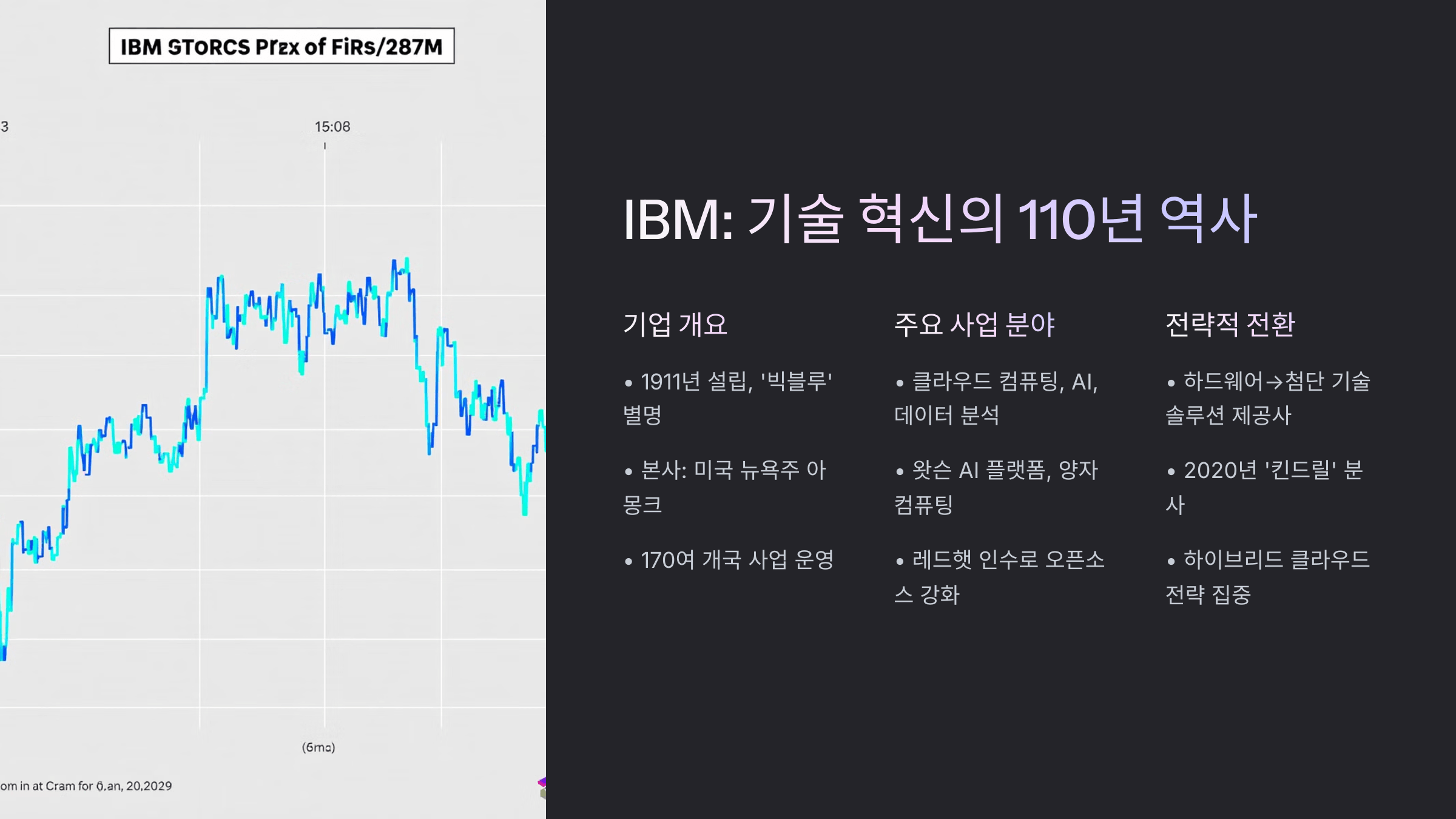 IBM기업소개