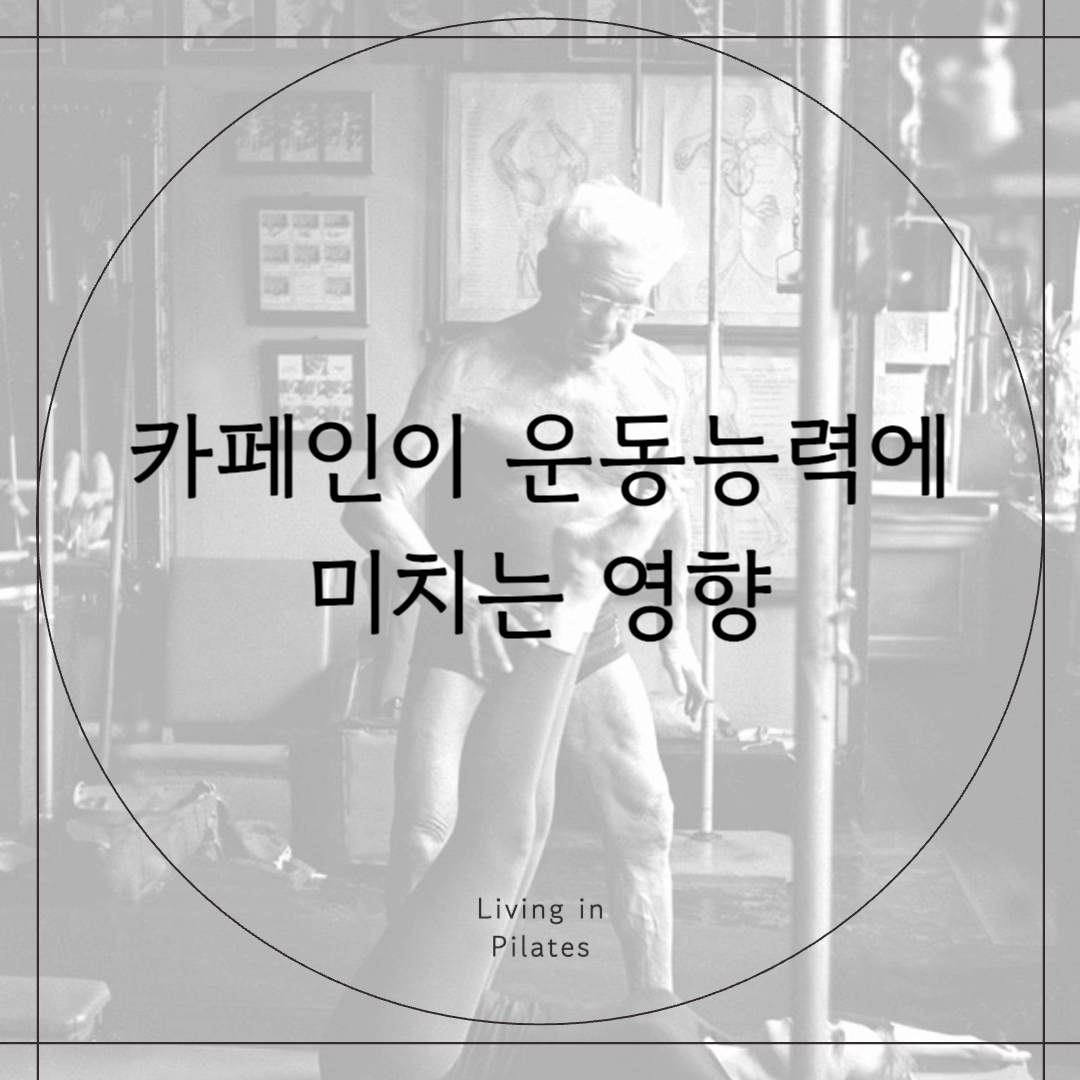 카페인이 운동능력에 미치는 영향