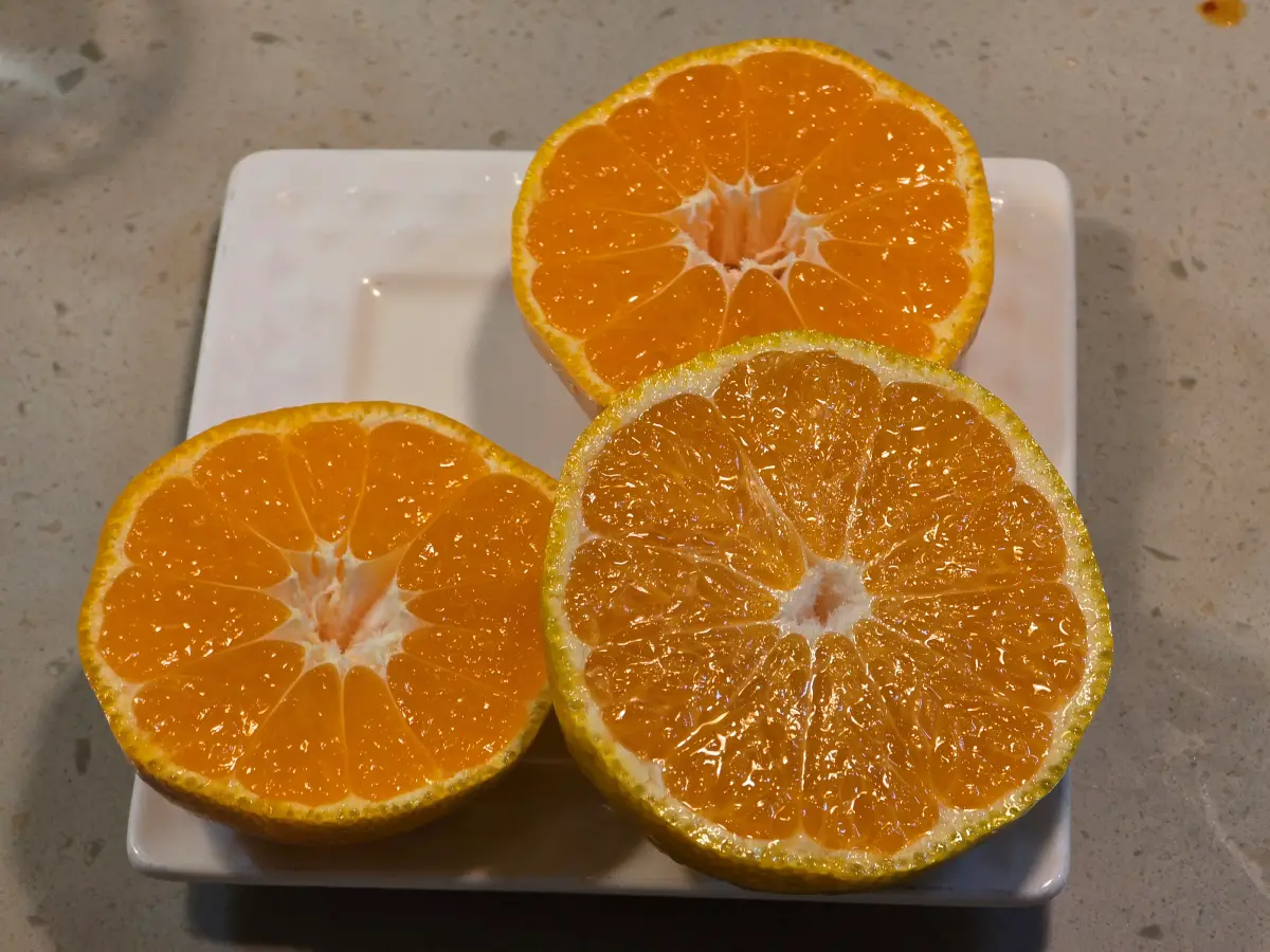 즐거운 술상 23번째 코스 음식: 귤