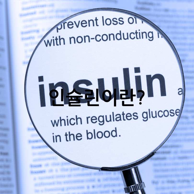 렙틴 저항성과 인슐린 저항성 차이점